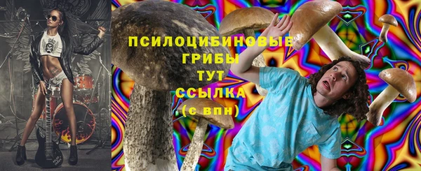 прущая мука Арсеньев