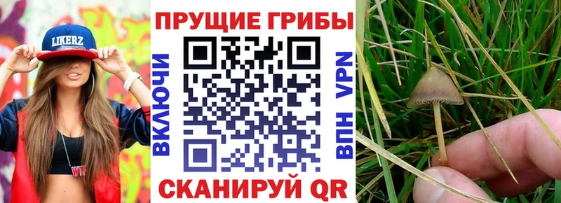 МЕГА как войти  Среднеколымск  Галлюциногенные грибы ЛСД 